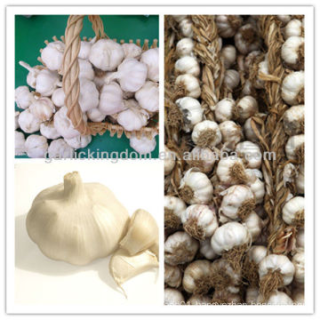 Chinese factory Wholesale Fresh Garlic price